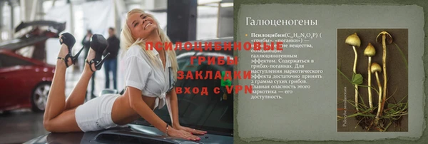 твердый Богородицк