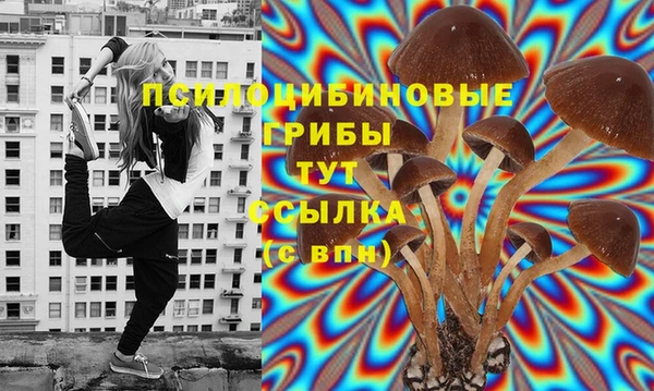 хмурый Сясьстрой