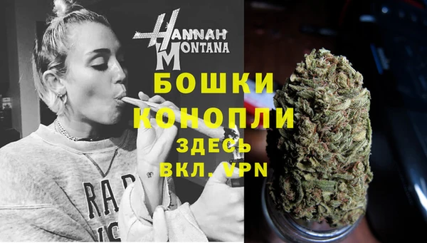твердый Богородицк