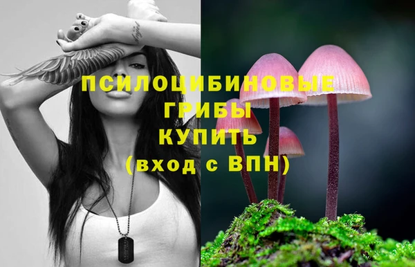 твердый Богородицк