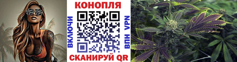 наркота  Горняк  Бошки Шишки Amnesia 